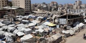 خاص| غزة: 17 ألف إصابة بين النازحين بفعل القوارض والطفيليات.. وتحذيرات من كارثة صحية وشيكة
