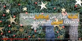 بيت لحم: شجرة الميلاد...من ذهب وحب