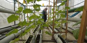 زراعة على الأسطح.. نساء الدهيشة يصنعن قصة نجاح فريدة