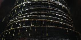 موسم الذهب السائل