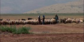 عطش في الغور