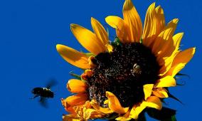 الطقس: ارتفاع على درجات الحرارة حتى نهاية الأسبوع