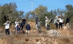 خاص| تصاعد الاستيطان الرعوي في الأغوار.. تهجير أربع تجمعات وتضييق يومي يدفع عائلات للرحيل