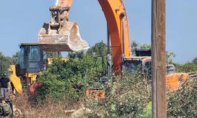 الاحتلال يقتلع أشجار زيتون قرب بلدة عرابة جنوب جنين