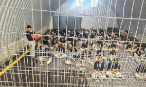 نادي الأسير: قرار الاحتلال إسقاط التهم عن الجنود المتهمين بالاغتصاب يشجع هذه الجرائم الوحشية