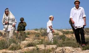 إصابة مواطنة في اعتداء للمستعمرين والاحتلال يعتقل شابا جنوب الخليل