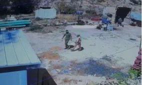 المالكي لراية: توقف اعتداءات المستوطنين على آبار عين سامية عقب ضغوطات دولية