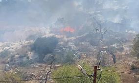 مستوطنون يحرقون منشآت زراعية شمال شرق القدس