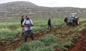 الجدار والاستيطان: 1965 اعتداء نفذها الجيش والمستوطنون في شباط الماضي