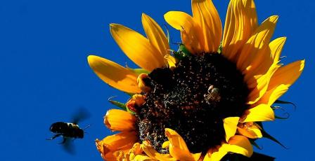 الطقس: حالة من عدم الاستقرار الجوي وأمطار على بعض المناطق