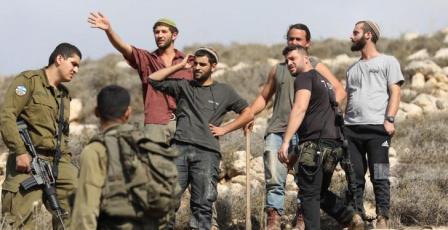 مستوطنون يهاجمون تجمع حلق الرمانة غرب أريحا