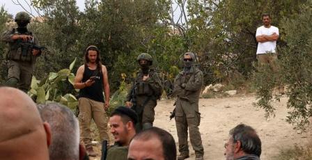 الأغوار الشمالية: مستعمرون يعتدون على مواطن في منطقة المالح