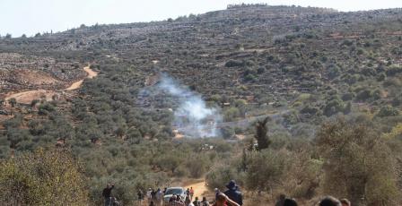 خاص | مزارعو المغير محرومون من 90% من أراضيهم