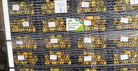 الزراعة: إعفاء الصادرات الزراعية الفلسطينية من الرسوم والغرامات على جسر الملك حسين