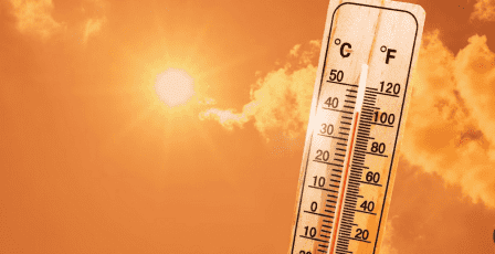 "الإحصاء" والأرصاد الجوية: تحسن في الأمطار وارتفاع في درجات الحرارة خلال عام 2025