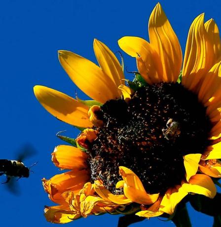 الطقس: ارتفاع على درجات الحرارة حتى نهاية الأسبوع