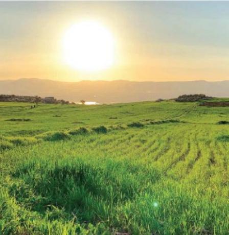 الطقس: أجواء صافية ومعتدلة وانخفاض على الحرارة