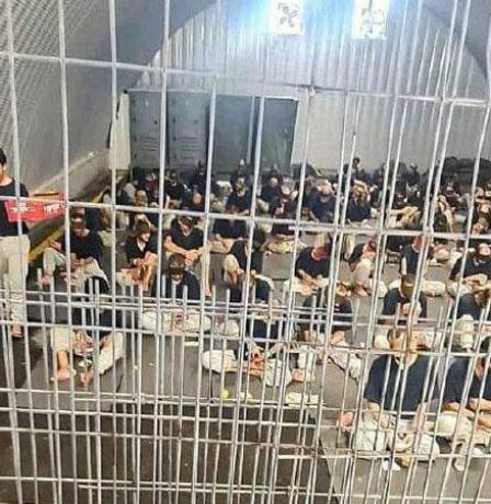 نادي الأسير: قرار الاحتلال إسقاط التهم عن الجنود المتهمين بالاغتصاب يشجع هذه الجرائم الوحشية