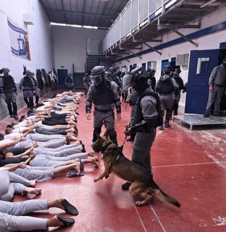 مؤسسات الأسرى توجه نداءً إلى المنظمات الحقوقية للتحرك من أجل وقف مشروع "قانون إعدام الأسرى"