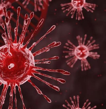 مرض نادر قد يتحول إلى قاتل… هذه طرق انتقال فيروس “هانتا”