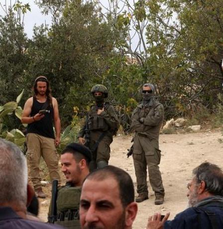 الأغوار الشمالية: مستعمرون يعتدون على مواطن في منطقة المالح