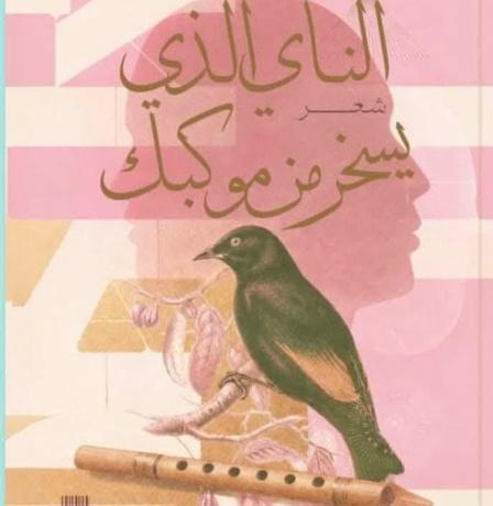 جديد الشاعرة أفين حمو "الناي الذي يسخر من موكبك"
