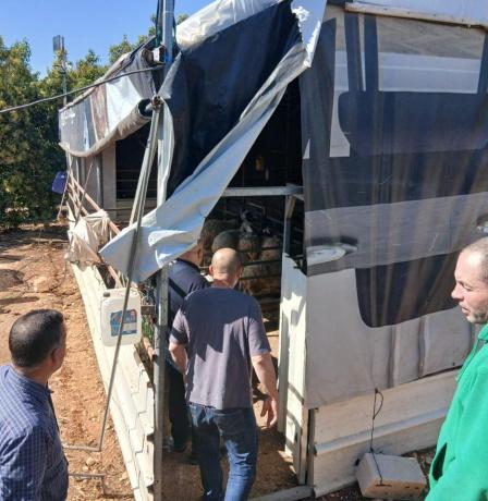 بالصور| الاتحاد الأوروبي ينفذ جولة لمشاريع دعم صمود لمزارعين في طوباس وقلقيلية