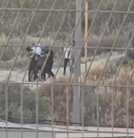 باحث لراية: الاحتلال يطارد الفلسطينيين في باطن الأرض.. "نبش القبور" جريمة وحشية لتهجير الأحياء والأموات