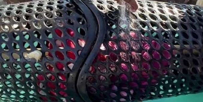 خاص| بين الخيمة والركام.. تيسير عبيد يخترع وسيلة حياة لأسرته في غزة