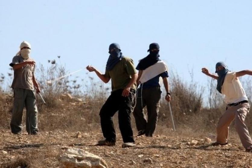 مستوطنون - ارشيف 