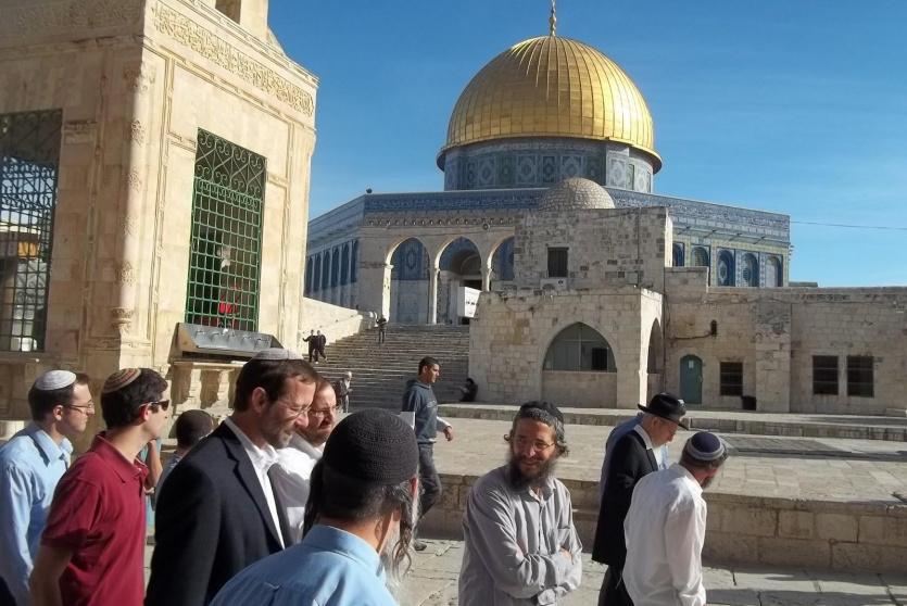 للمرة الثانية اليوم.. المستوطنون يقتحمون الاقصى بحراسة قوات الاحتلال