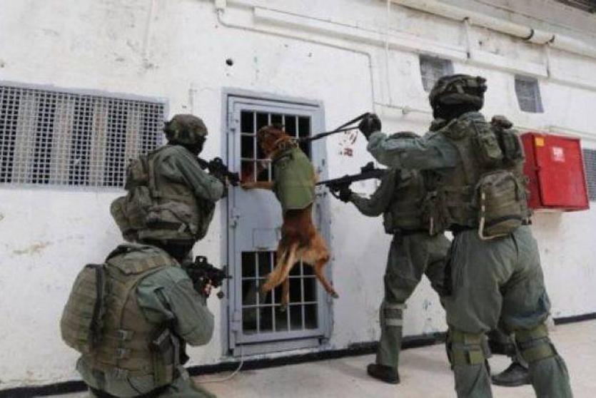 قوات القمع في سجون الاحتلال