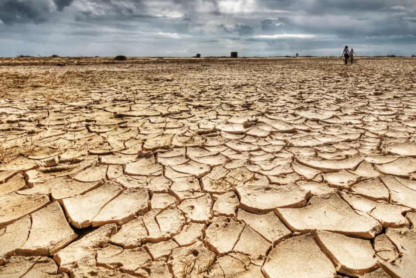 صورة توضيحية 