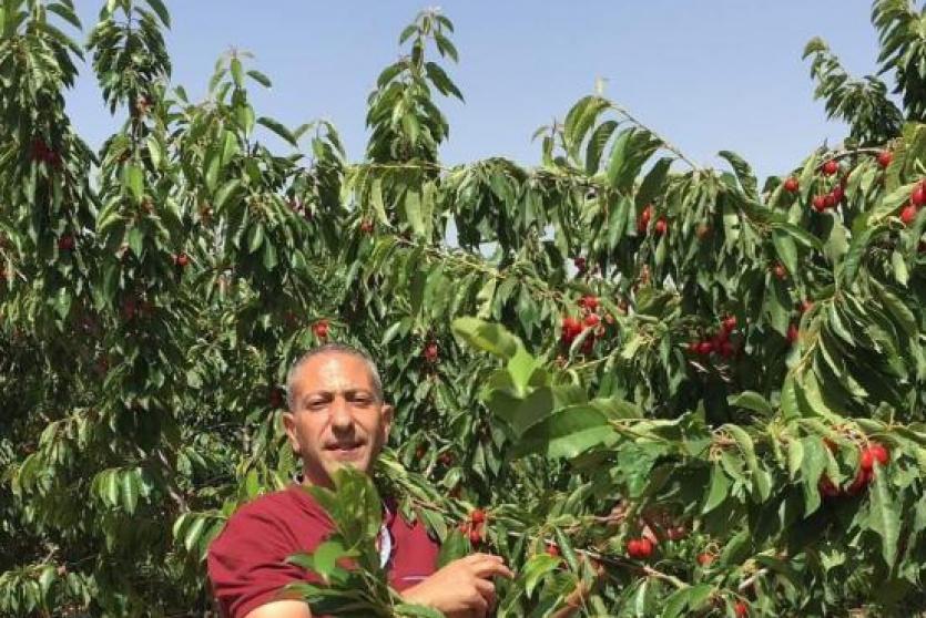 الاسير سامر العربيد