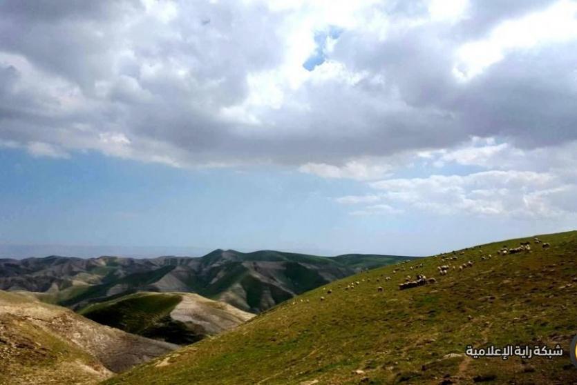 طبيعة فلسطين