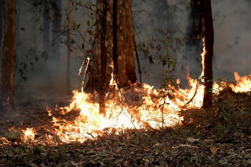 حرائق استراليا