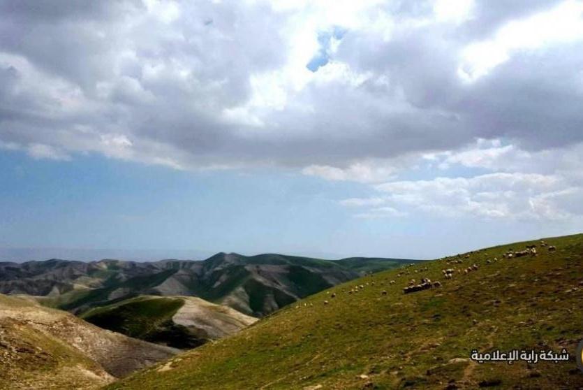 طبيعة فلسطين