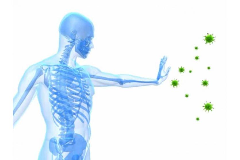 صورة توضيحية 