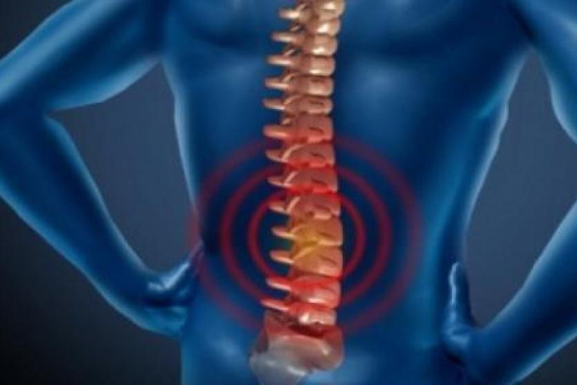 العمود الفقري