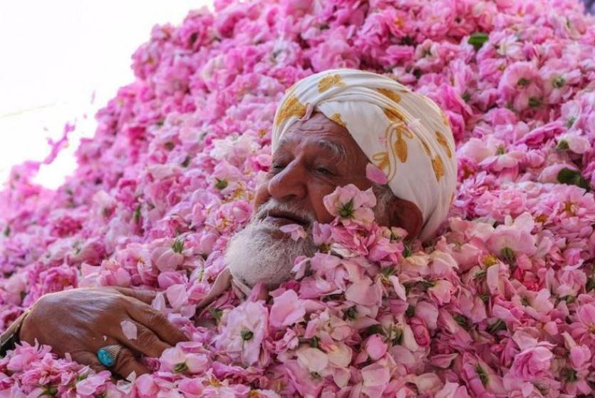 صورة توضيحية