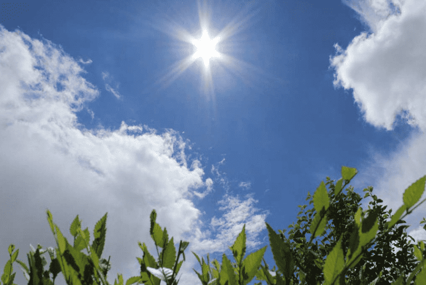 اجواء صيفية 