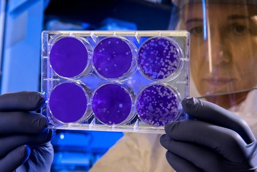 فيروس كورونا 