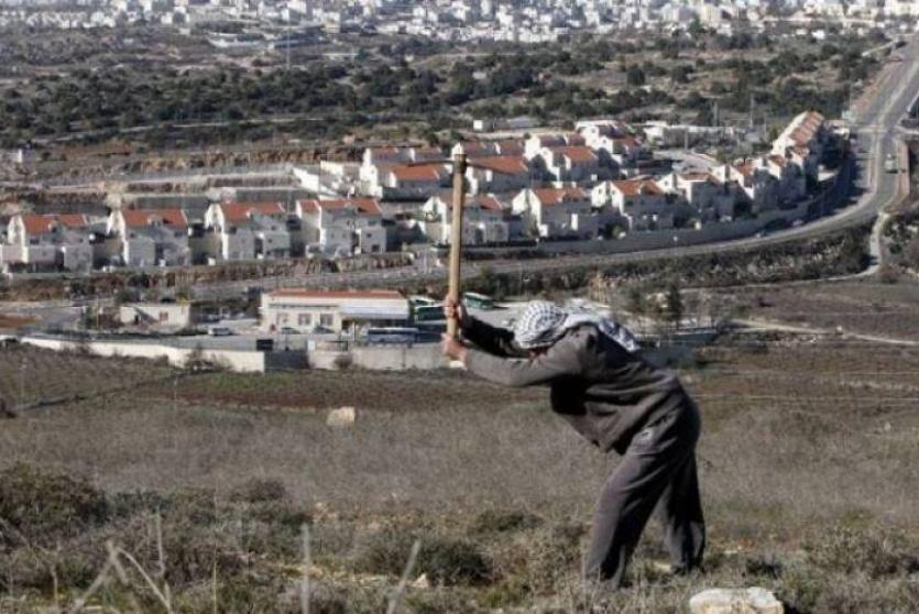 فلاح فلسطيني