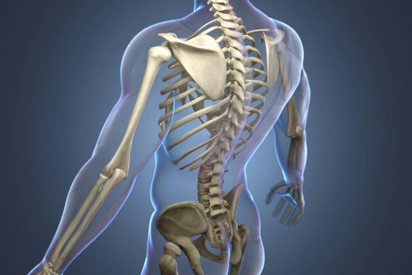 طرق الوقاية من هشاشة العظام