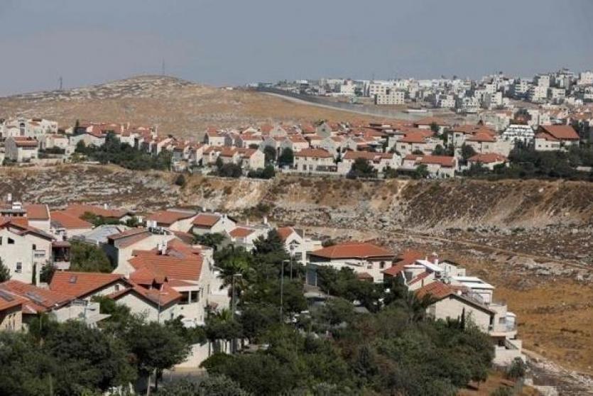 مستوطنون - أرشيف 