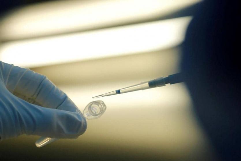 تجارب  على لقاح 