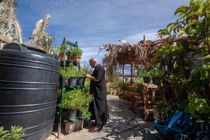 تخضير أسطح المخيمات