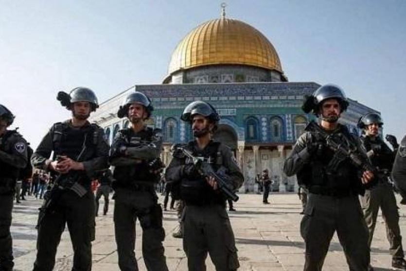 جنود الاحتلال