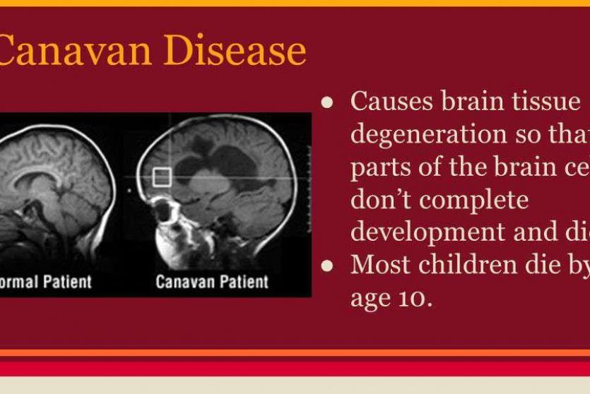 صورة توضيحية