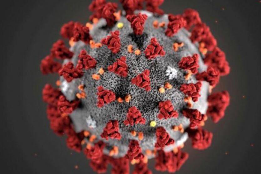 فيروس كورونا